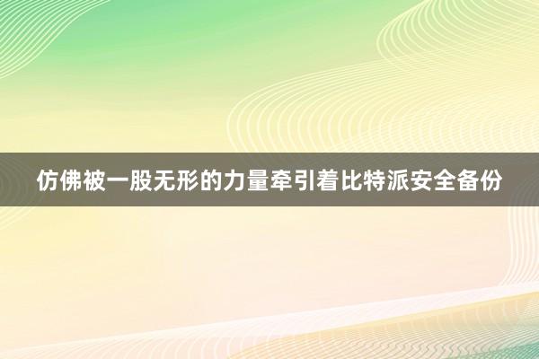 仿佛被一股无形的力量牵引着比特派安全备份