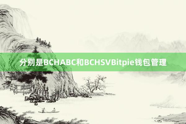 分别是BCHABC和BCHSVBitpie钱包管理