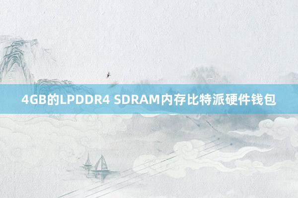 4GB的LPDDR4 SDRAM内存比特派硬件钱包