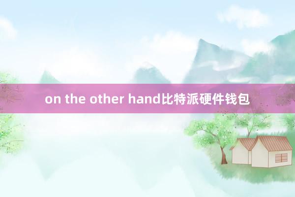 on the other hand比特派硬件钱包