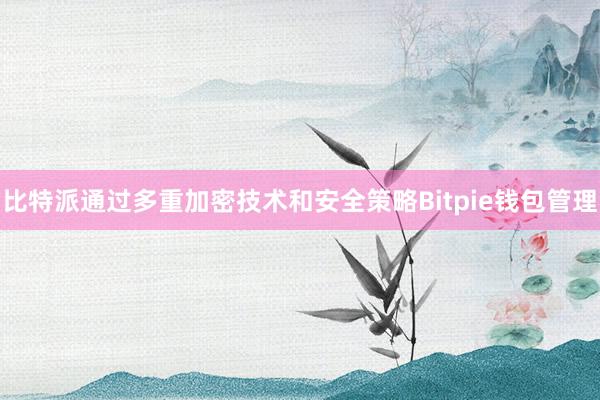 比特派通过多重加密技术和安全策略Bitpie钱包管理