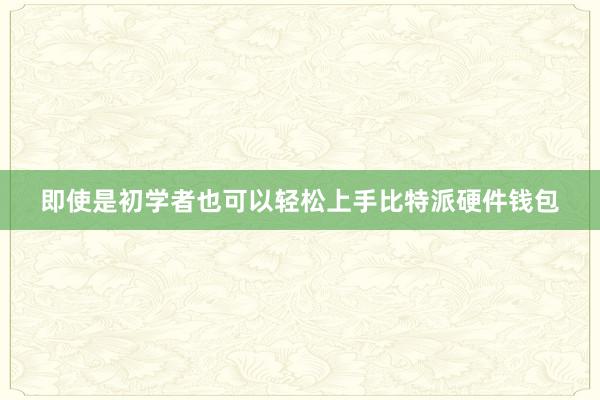 即使是初学者也可以轻松上手比特派硬件钱包