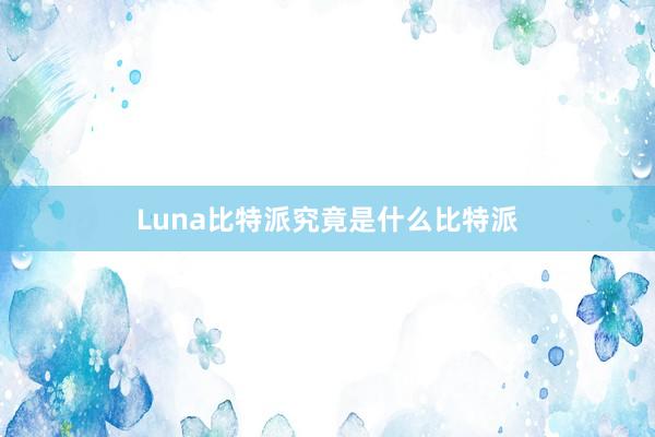 Luna比特派究竟是什么比特派